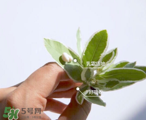 城野醫(yī)生377有副作用嗎？城野醫(yī)生377用了臉癢是什么原因？