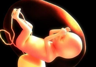 臍帶血有必要保存嗎？臍帶血有什么用？