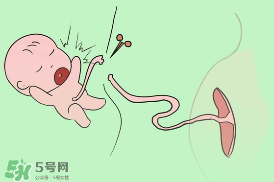 寶寶臍帶什么時(shí)候脫落？寶寶臍帶脫落后怎么護(hù)理？