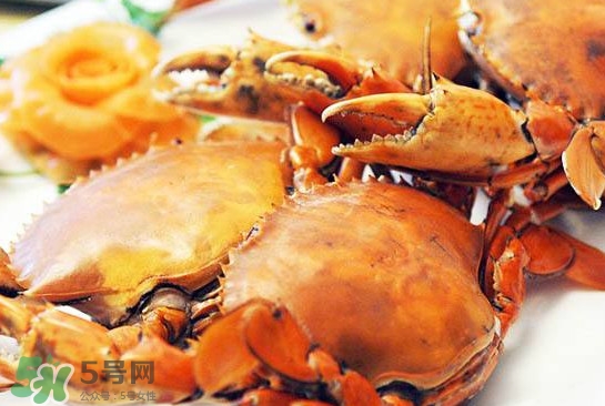 黃油蟹是什么蟹？黃油蟹多少錢一只