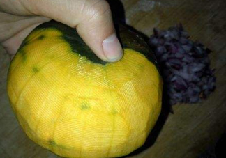 貝貝南瓜什么時候種植？貝貝南瓜什么時候上市