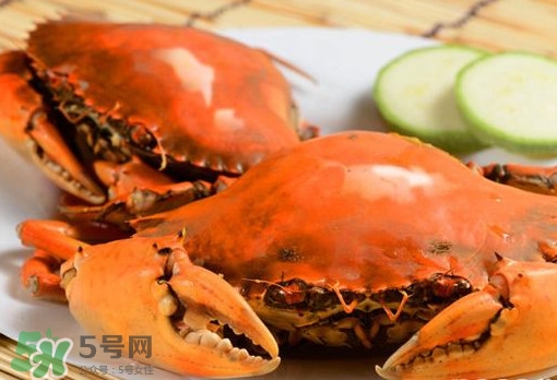 黃油蟹的選蟹標(biāo)準(zhǔn)是什么？黃油蟹的等級分類