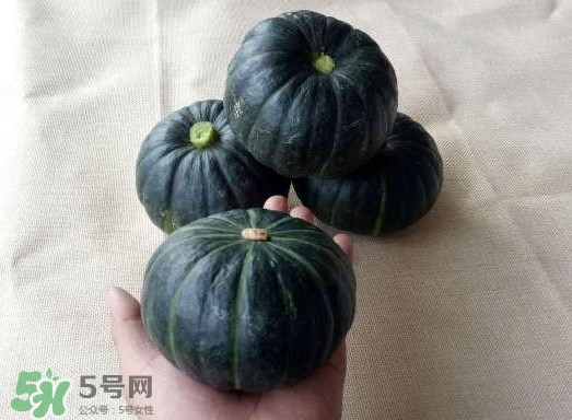 貝貝南瓜是哪里的？貝貝南瓜哪里產(chǎn)的