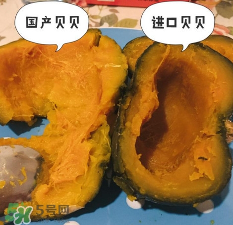 貝貝南瓜怎么挑選？貝貝南瓜有假的嗎