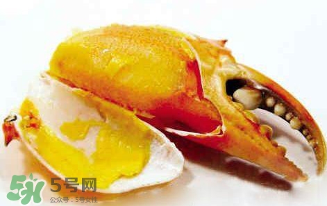 黃油蟹怎么保存？黃油蟹的營(yíng)養(yǎng)價(jià)值