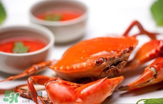 黃油蟹是海蟹嗎？黃油蟹是如何進化的