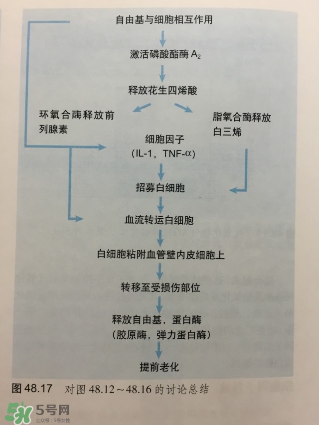 面部皮膚炎癥怎么消炎 皮膚炎癥管理 面部皮膚炎癥怎么消炎 皮膚炎癥管理