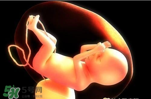 臍帶血有必要保存嗎？臍帶血有什么用？