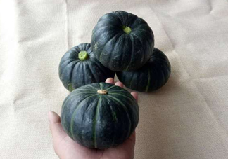 貝貝南瓜是哪里的？貝貝南瓜哪里產(chǎn)的