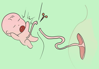 寶寶臍帶什么時候脫落？寶寶臍帶脫落后怎么護(hù)理？