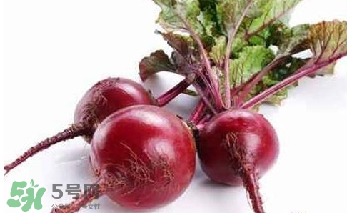 甜菜根是蘿卜嗎？甜菜根是什么菜