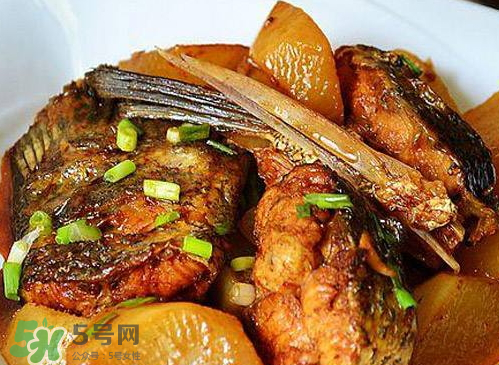 鱸魚可以紅燒嗎？鱸魚清蒸還是紅燒好吃？