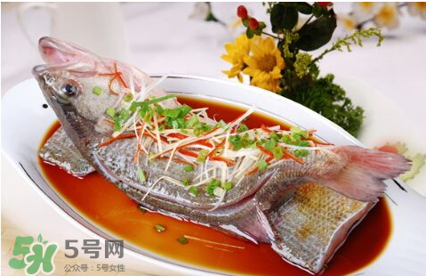 鱸魚為什么沒有刺？鱸魚為什么刺少？