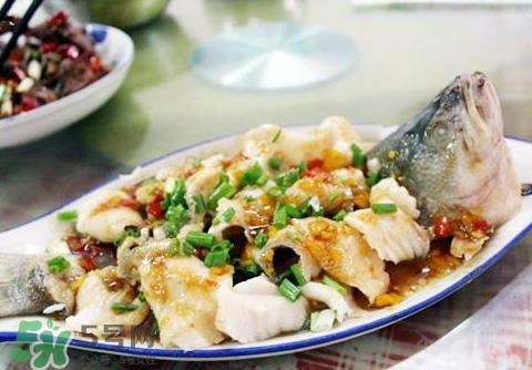 鱸魚為什么沒有刺？鱸魚為什么刺少？