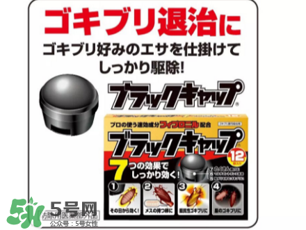 日本蟑螂藥好用嗎？日本蟑螂藥效果評測