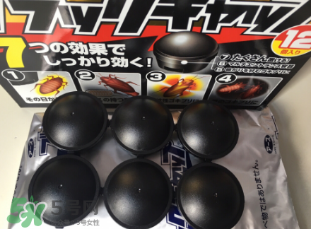 日本蟑螂藥哪里買得到？