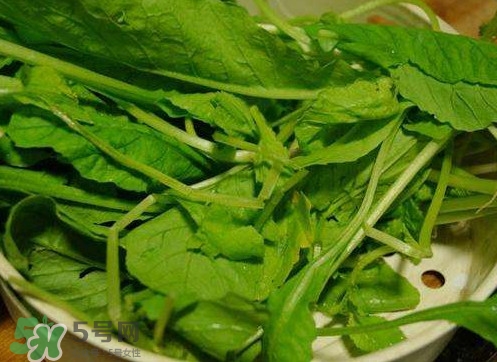 蘿卜纓孕婦能吃嗎？蘿卜纓可以生吃嗎