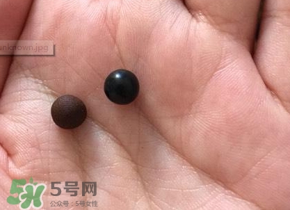 喇叭正露丸香港和日本哪個(gè)好_版本區(qū)別 喇叭正露丸香港和日本哪個(gè)好_版本區(qū)別