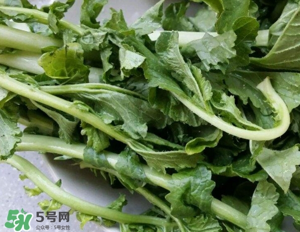 蘿卜纓能吃嗎？蘿卜纓怎么做好吃