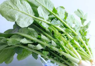 蘿卜纓要焯水嗎？蘿卜纓不能和什么一起吃