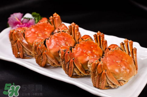 螃蟹冷凍還是冷藏保存？螃蟹冷凍保存多久？