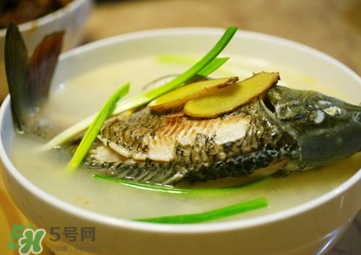 鯉魚湯怎么做好吃？鯉魚湯里面可以放什么？