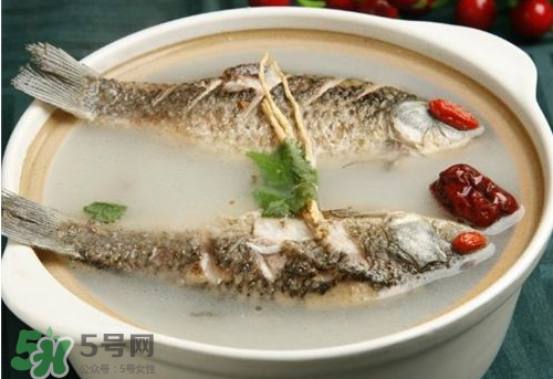 鯽魚湯下奶嗎？鯽魚湯的功效與作用