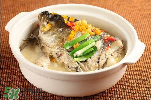 青魚湯怎么做好吃？青魚湯的功效與作用