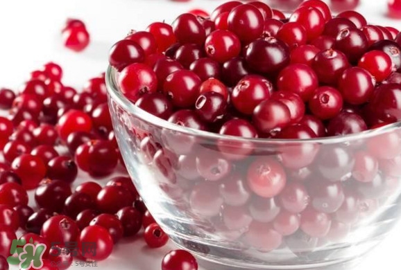 蔓越莓是涼性的嗎？蔓越莓是酸性還是堿性