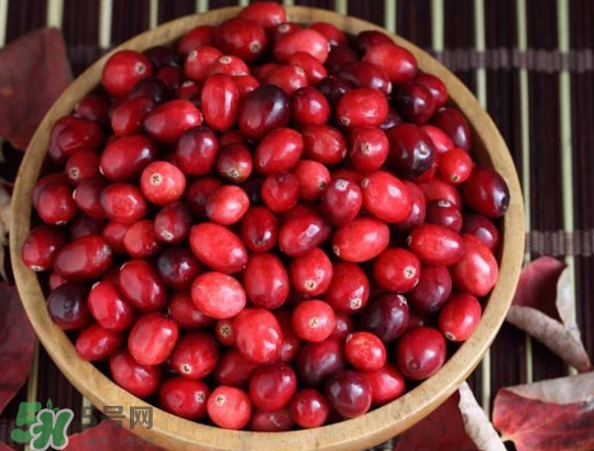 蔓越莓什么時候成熟？蔓越莓什么時候吃最好