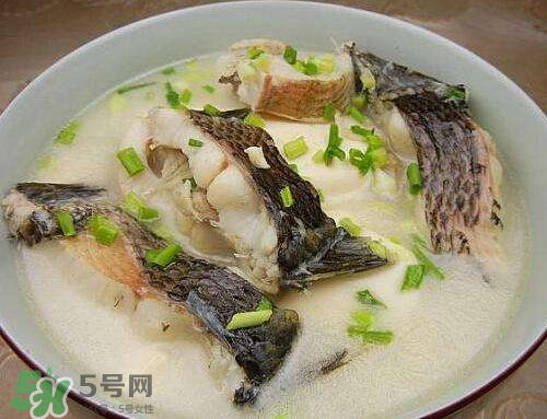黑魚湯對(duì)傷口有好處嗎？黑魚湯的做法術(shù)后恢復(fù)