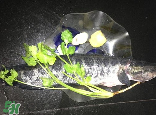 黑魚湯對(duì)傷口有好處嗎？黑魚湯的做法術(shù)后恢復(fù)