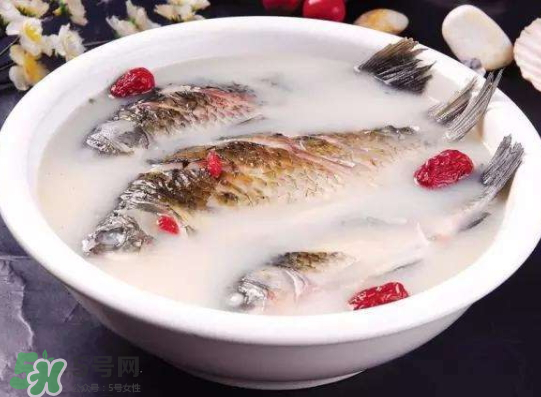 鯽魚湯里可以放什么菜最好？鯽魚燉湯放什么菜？