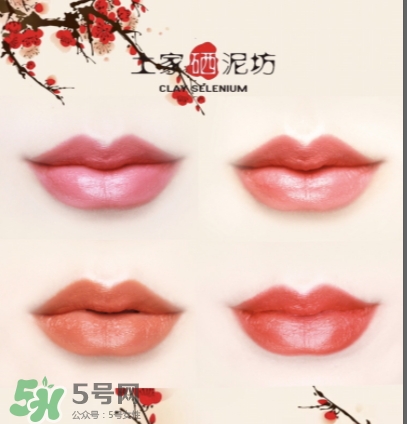 土家硒泥坊茶鮮套裝系列怎么樣_多少錢 土家硒泥坊茶鮮套裝系列怎么樣_多少錢