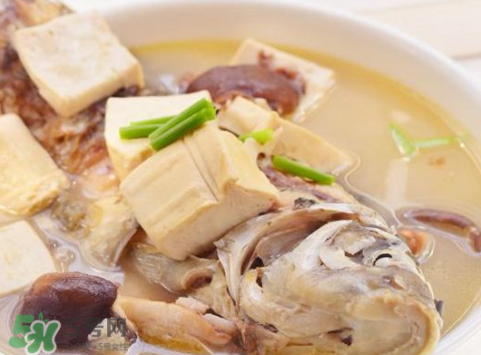 鯽魚(yú)湯可以放香菇嗎？香菇鯽魚(yú)湯的做法