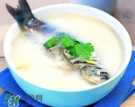 鯽魚湯可以放牛奶嗎？牛奶鯽魚湯的做法