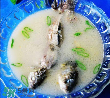 鯽魚湯可以放牛奶嗎？牛奶鯽魚湯的做法