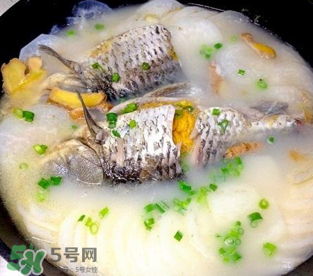 鯽魚湯可以放牛奶嗎？牛奶鯽魚湯的做法