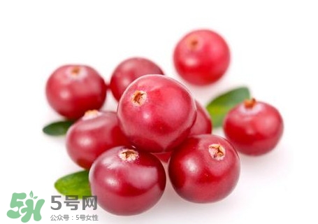 蔓越莓在中國有嗎？蔓越莓怎么辨別真假