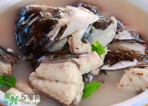 鰱魚湯怎么熬湯？鰱魚湯的功效與作用