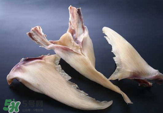 干魚翅怎么保存？魚翅可以放多久？