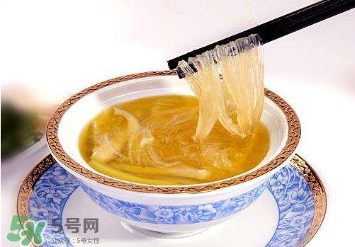 干魚翅怎么保存？魚翅可以放多久？