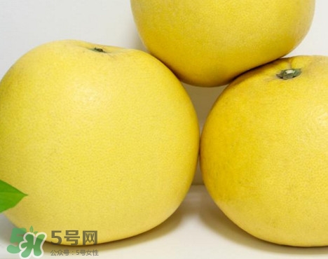 蜜柚是哪個(gè)季節(jié)的水果？蜜柚和沙田柚的區(qū)別是什么？