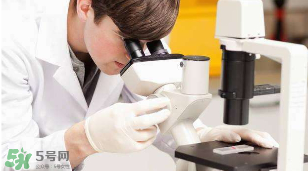 素浴口紅怎么樣？素浴口紅是什么牌子？