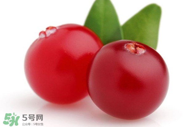 蔓越莓是藍(lán)莓嗎？蔓越莓是哪里產(chǎn)的