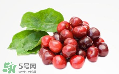 蔓越莓有什么作用？蔓越莓的功效與作用