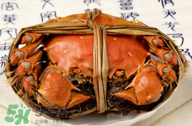 香辣蟹怎么做最好吃？香辣蟹怎么處理螃蟹？