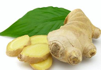 生姜可以去疤痕嗎？生姜能祛斑嗎