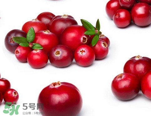 蔓越莓是藍(lán)莓嗎？蔓越莓是哪里產(chǎn)的