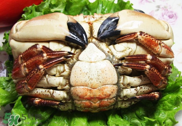 凍螃蟹蒸之前需要解凍嗎？凍螃蟹蒸多長時間？